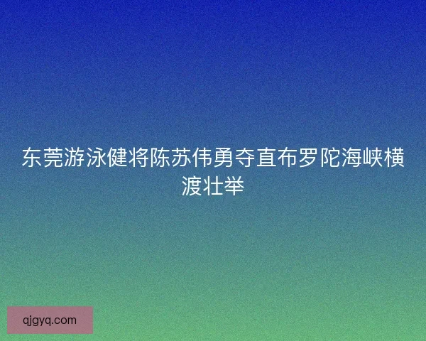 东莞游泳健将陈苏伟勇夺直布罗陀海峡横渡壮举